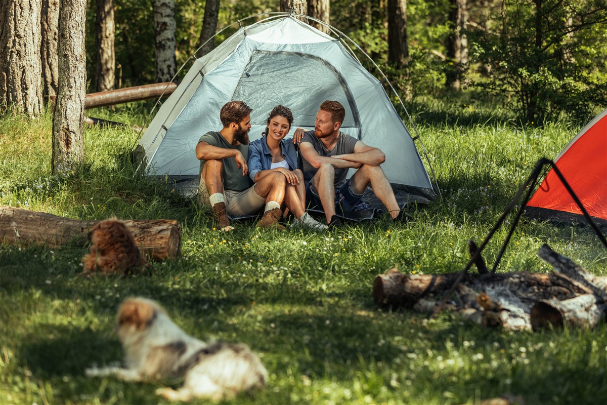 expérience de camping réussie