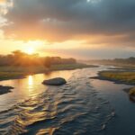 explorez un voyage unique à travers les plus beaux fleuves dont le nom commence par la lettre z, illustré par une sélection de photos captivantes.