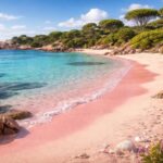 découvrez l'histoire captivante de la spiaggia rosa, une plage unique au sable rose, et explorez la richesse de son environnement naturel exceptionnel.