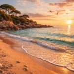 découvrez les plus belles photos de spiaggia le saline, un lieu incontournable pour les amateurs de paysages naturels et de plages paradisiaques. capturez des moments inoubliables sur cette plage exceptionnelle.