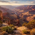 découvrez pourquoi mohave point au grand canyon en arizona est un lieu incontournable pour les amateurs de nature, offrant des vues spectaculaires, une faune diverse et une expérience unique en plein air.