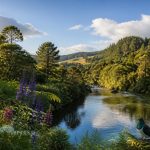 explorez kerikeri, une destination incontournable en nouvelle-zélande, idéale pour les amoureux de la nature grâce à ses paysages époustouflants, ses activités en plein air et sa biodiversité unique.